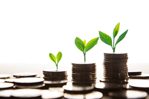 young plant growing in coins, business concept.